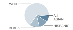 Houston Elementary School Student Race Distribution