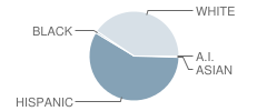 Devine Intermediate School Student Race Distribution