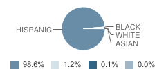 Donna High School Student Race Distribution