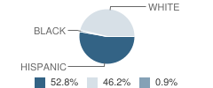 Dublin Intermediate School Student Race Distribution