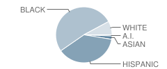 Grace R Brandenburg Intermediate School Student Race Distribution