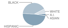 William Lee Hastings Elementary School Student Race Distribution