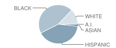 William H Byrd Middle School Student Race Distribution