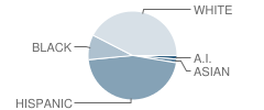 Nimitz Junior High School Student Race Distribution