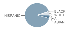 Freddy Gonzalez Elementary School Student Race Distribution