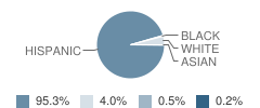 Jefferson Elementary School Student Race Distribution