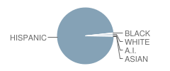Zavala Elementary School Student Race Distribution