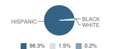 Alta Vista Elementary School Student Race Distribution