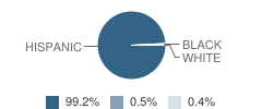 Bowie High School Student Race Distribution