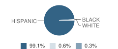 Houston Elementary School Student Race Distribution