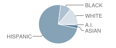 Park Elementary School Student Race Distribution