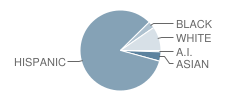 Silva Health Magnet School Student Race Distribution