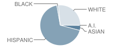 Polk Elementary School Student Race Distribution