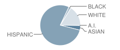 Kohlberg Elementary School Student Race Distribution