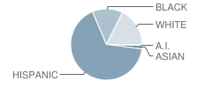 Barron Elementary School Student Race Distribution