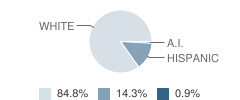 Eula High School Student Race Distribution