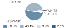 E Ray Elementary School Student Race Distribution