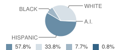 Ferris Junior High School Student Race Distribution