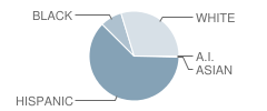 Ferris Intermediate School Student Race Distribution