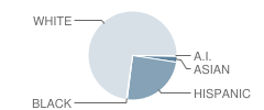 Florence High School Student Race Distribution