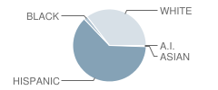 Floresville Primary School Student Race Distribution