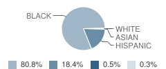 Briargate Elementary School Student Race Distribution