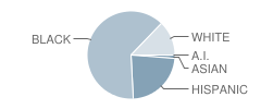 Lantern Lane Elementary School Student Race Distribution