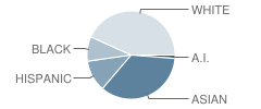 Colony Bend Elementary School Student Race Distribution