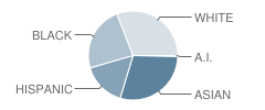 Dulles Middle School Student Race Distribution