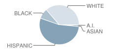 Burton Hill Elementary School Student Race Distribution