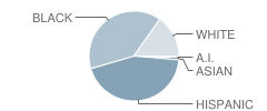 East Handley Elementary School Student Race Distribution