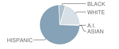 Luella Merrett Elementary School Student Race Distribution