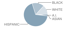 Charles Nash Elementary School Student Race Distribution