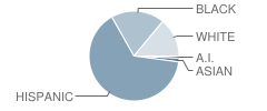 Stripling Middle School Student Race Distribution