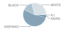 Applied Learning Academy Student Race Distribution