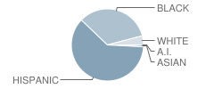 West Handley Elementary School Student Race Distribution