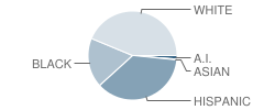 Leonard 6th Grade School Student Race Distribution