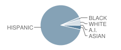 Alice D Contreras School Student Race Distribution