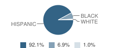 Mcrae Elementary School Student Race Distribution