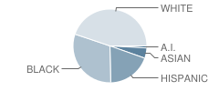 Robert G Cole Jr-Sr High School Student Race Distribution