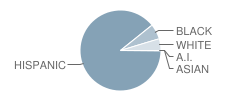 Galena Park High School Student Race Distribution