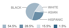 Rosenberg Elementary School Student Race Distribution