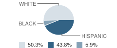 Ganado Elementary School Student Race Distribution