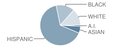 Bussey Middle School Student Race Distribution