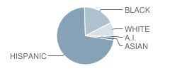 Centerville Elementary School Student Race Distribution