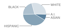 Vial Elementary School Student Race Distribution