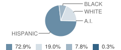 Williams Elementary School Student Race Distribution