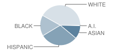 Luna Elementary School Student Race Distribution