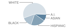 Keeley Elementary School Student Race Distribution