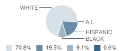 Gholson Elementary School Student Race Distribution